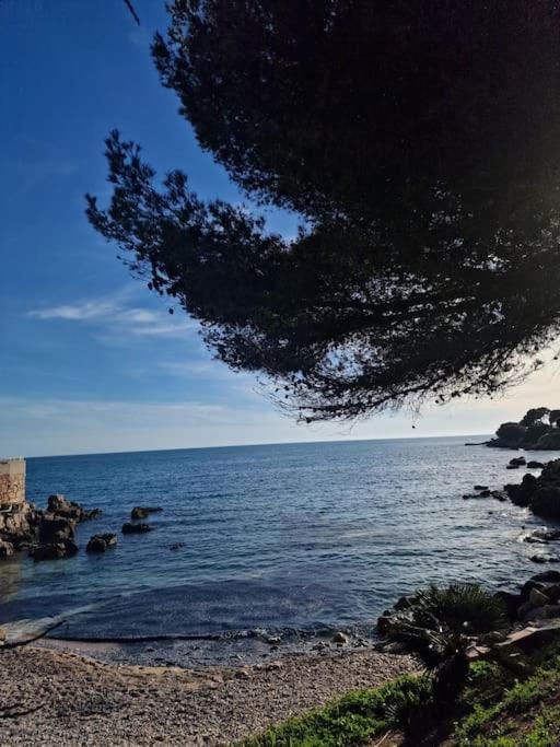 T2 Neuf, Parking Prive,Acces Mer Bandol Extérieur photo